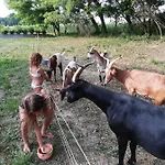 Des Branches&vous Chateauneuf-sur-Isere