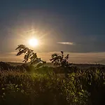 Frühstückspension Des Branches&vous Chateauneuf-sur-Isere
