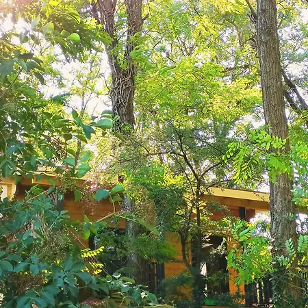 Des Branches & Vous Bed and breakfast 3*