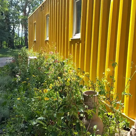 Des Branches & Vous Chateauneuf-sur-Isere
